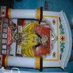 Vraj-Yatra-2014- (960)